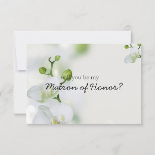 Orquídea Elegante Suave Será Minha Matriz de Honra