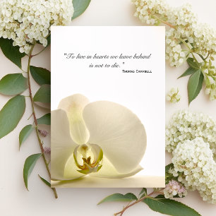 Orquídea em Cartão Branco de Agradecimento pela Su