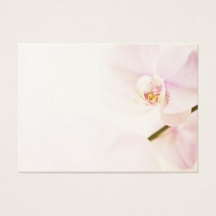Orquídea - flor chave alta cor-de-rosa - modelo