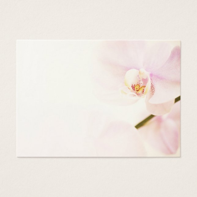 Orquídea - Flor Cor-de-Rosa de Alta Chave - Modelo (Frente)