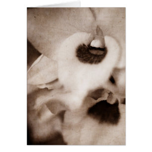 Orquídea gótico - cartão