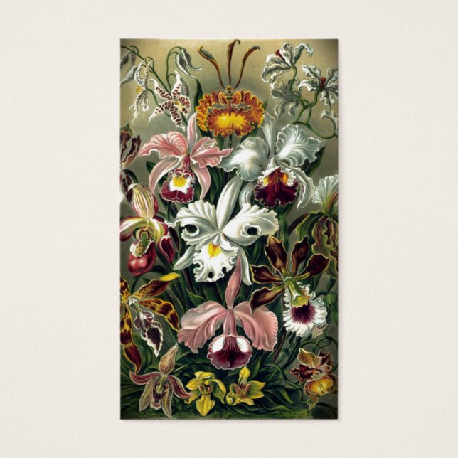 Orquídea Impressão de Botânica (Frente)