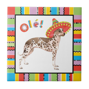 Orquídea Inca Fiesta Peruana