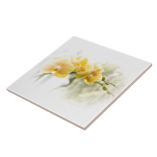 Orquídea-mariposa amarela ao sol