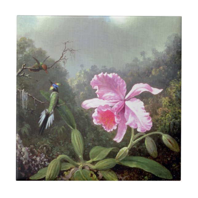 Orquídea Martin Johnson Heade e beija-flores (Frente)