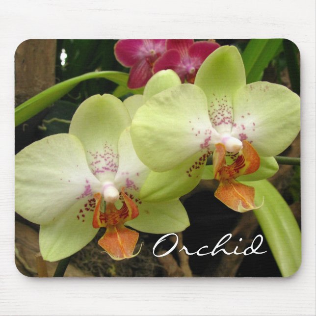 Orquídea Mousepad (Frente)