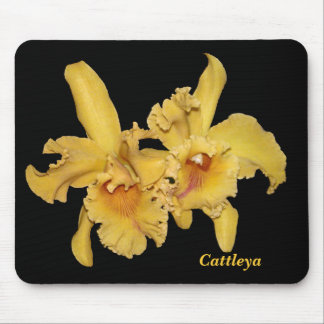 Orquídea Mousepad de Cattleya