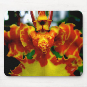 Orquídea Mousepad do Psychopsis
