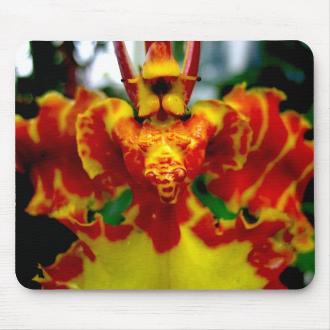 Orquídea Mousepad do Psychopsis (Frente)