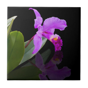 Orquídea no azulejo preto