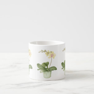 Orquídea no pote verde na caneca botânica do caf