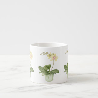 Orquídea no pote verde na caneca botânica do café