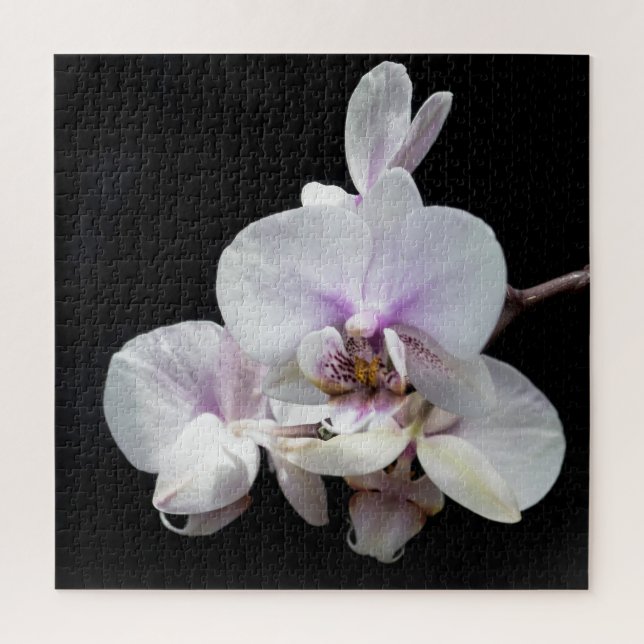 Orquídea Quebra-cabeça (Vertical)