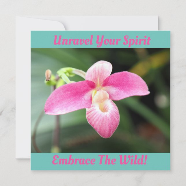 Orquídea rosa adorável (Frente)