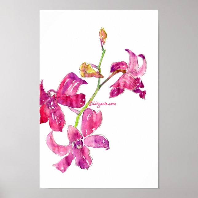 Orquídea Rosa, Bebês Floral Poster (Frente)
