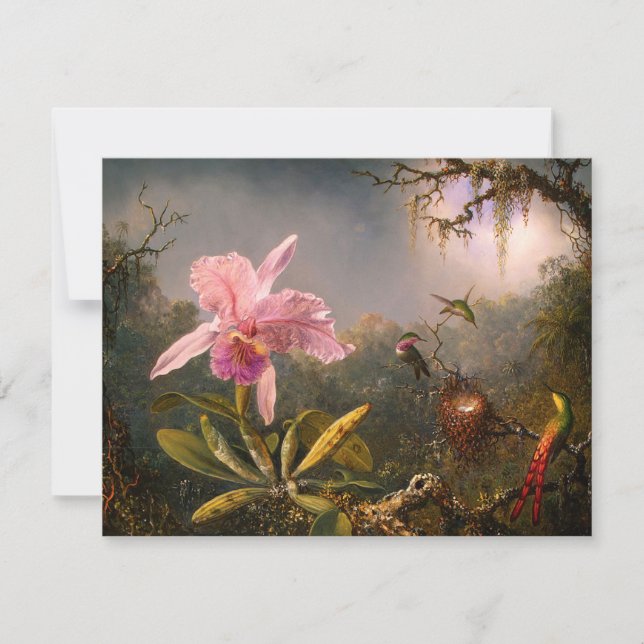 Orquídea rosa e três convites para aves humanas (Frente)