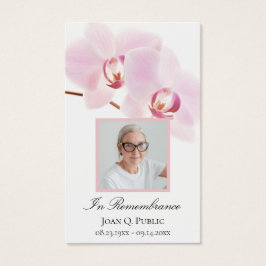 Orquídea Rosa Flores Brancas Orquídea Orquídea Orq