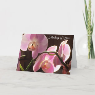 Orquídea Rosa Pensando em Você Cartão em Branco Po
