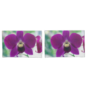 Orquídea Roxa
