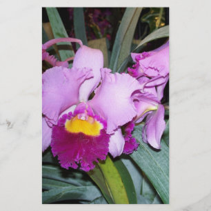 Orquídea roxa