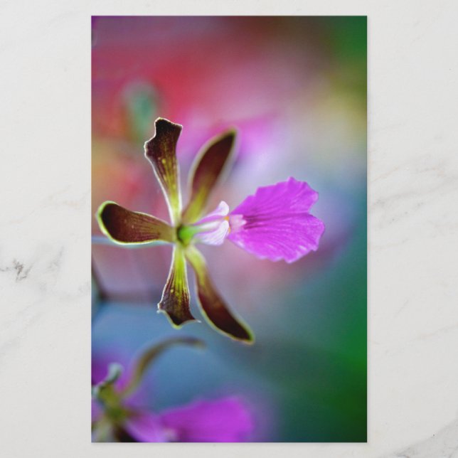 Orquídea Roxa (Frente)