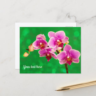Orquídea Roxa em Cartão Postal Verde