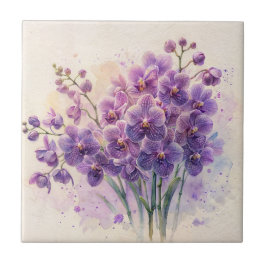 Orquídea Roxa Phalaenopsis