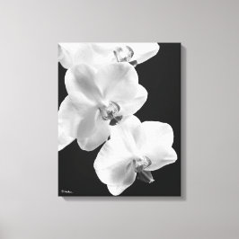 Orquídeas 16X20 em Arte Preta e Canvas