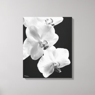 Orquídeas 16X20 em Arte Preta e Canvas
