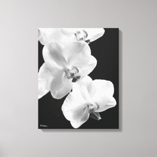 Orquídeas 16X20 em Arte Preta e Canvas