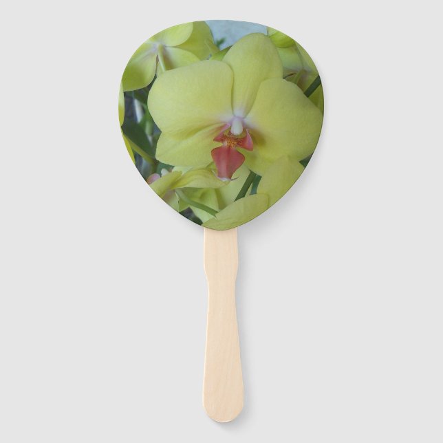 Orquídeas Amarelas em um leque portátil (Frente)