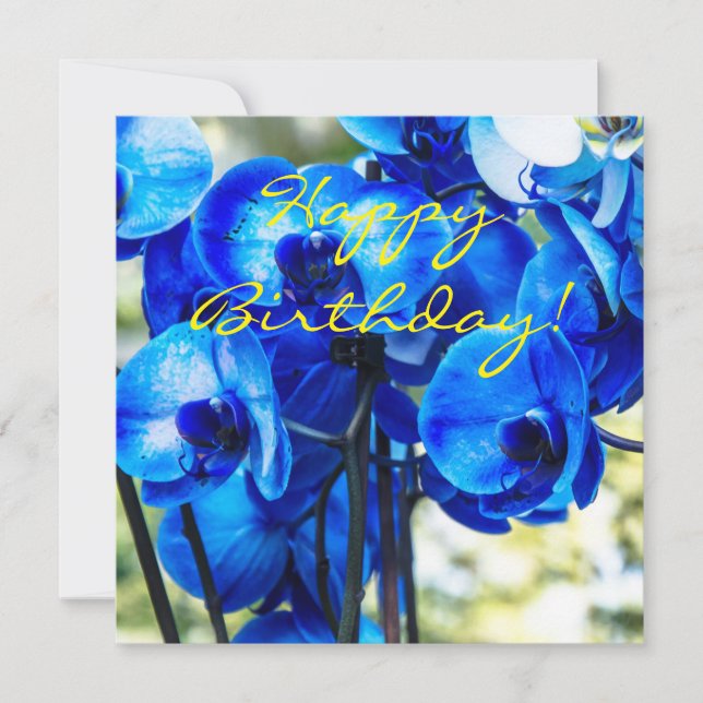 Orquídeas azuis (Frente)