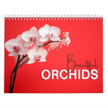 Orquídeas Bonitas com Calendário de Parede do Note