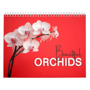 Orquídeas Bonitas com Calendário de Parede do Note