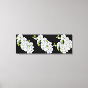 Orquídeas Brancas canvas