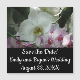 Orquídeas brancas e roxas