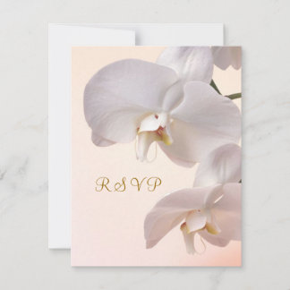 Orquídeas brancas Resposta de convite. RSVP