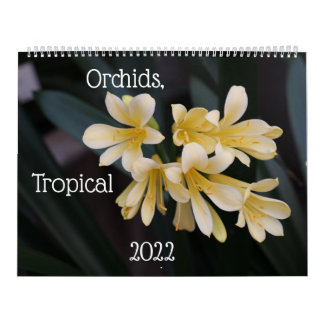 Orquídeas, Calendário das Plantas Tropicais 2022