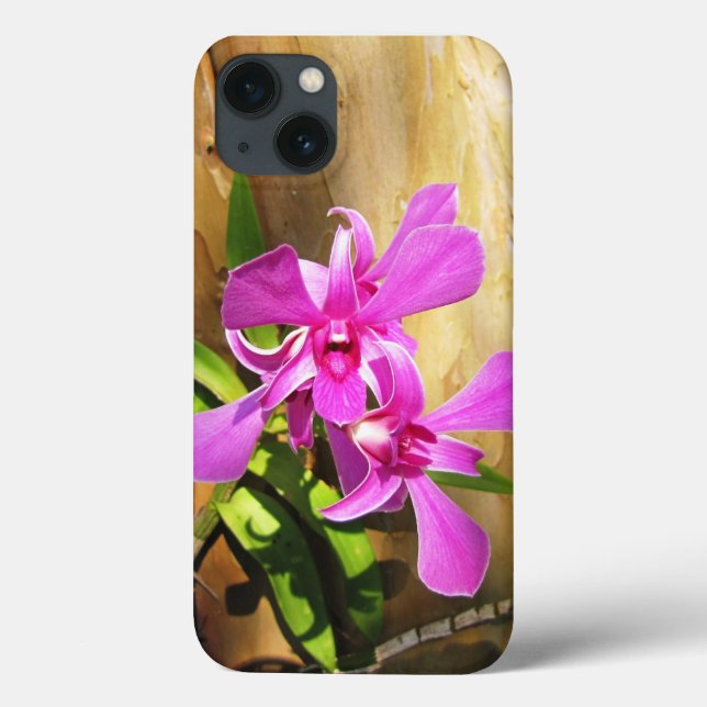 Orquídeas cor-de-rosa para gabinete iPhone 13 (Verso)