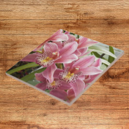 Orquídeas de Cymbidium Cor-de-rosa adorável