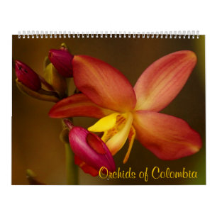 Orquídeas do calendário 2013 de Colômbia