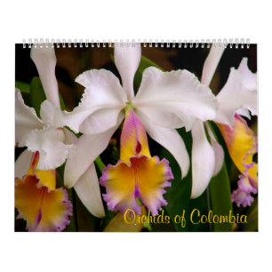 Orquídeas do calendário 2013 de Colômbia
