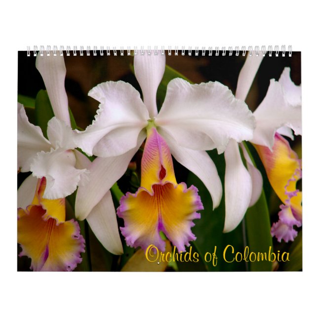 Orquídeas do calendário 2013 de Colômbia (Capa)