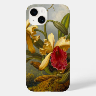 Orquídeas e Hummingbird