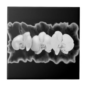 Orquídeas elegantes em preto e branco em aquarela