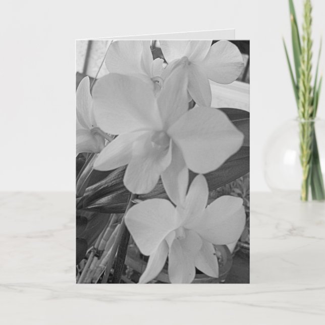 Orquídeas em tons de cinza em um Cartão de condolê (Frente)