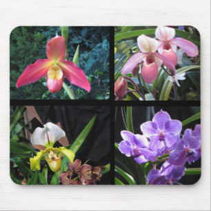 Orquídeas Mousepad