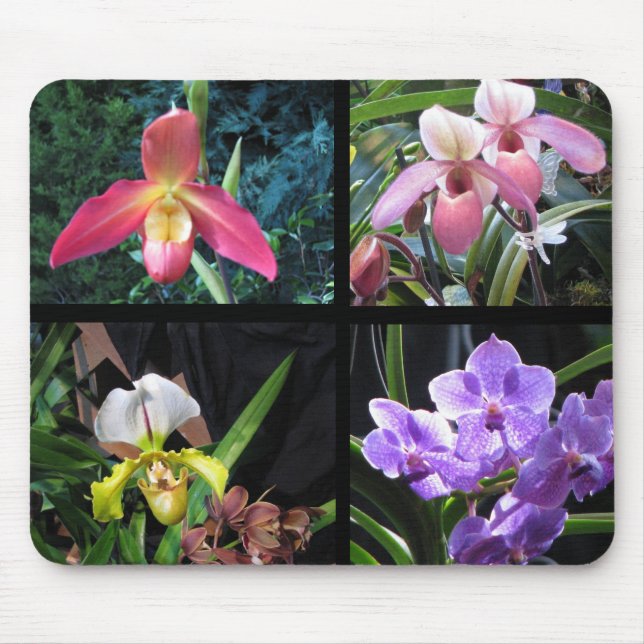 Orquídeas Mousepad (Frente)