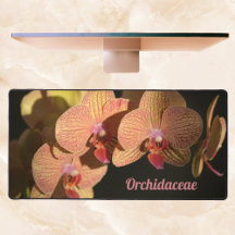 Orquídeas Rosa Coral Dramáticas, Florais Personali