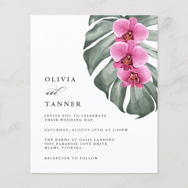 Orquídeas Rosa-Quente do Orçamento em Monstera Tro (Frente)